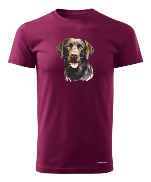Labrador czekoladowy