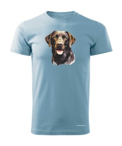 Labrador czekoladowy