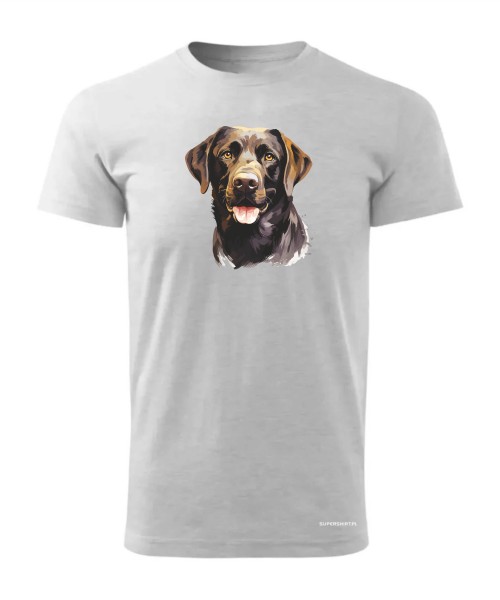 Labrador czekoladowy