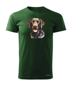 Labrador czekoladowy