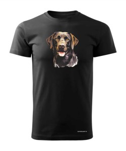 Labrador czekoladowy