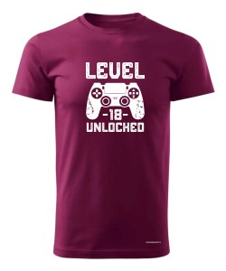 Level 18