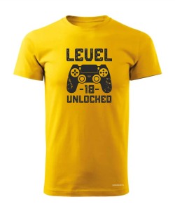Level 18