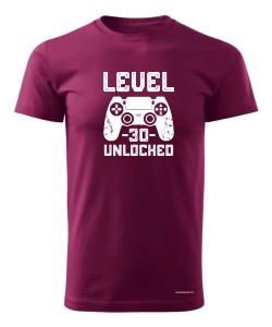 Level 30