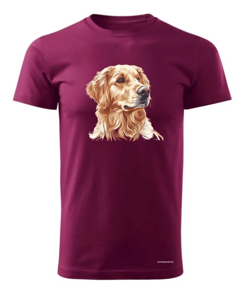 Golden retriever złoty