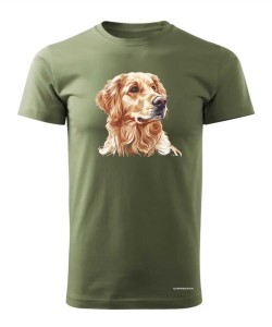Golden retriever złoty