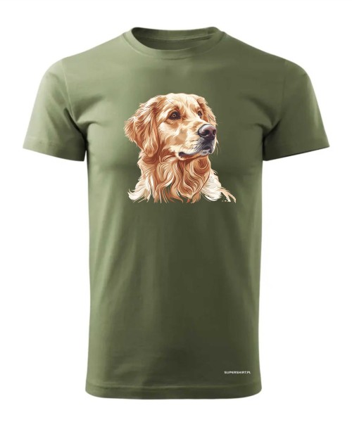 Golden retriever złoty