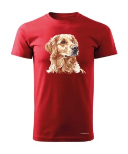 Golden retriever złoty