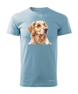 Golden retriever złoty