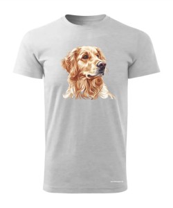 Golden retriever złoty