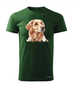Golden retriever złoty