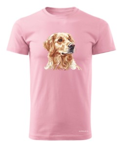 Golden retriever złoty
