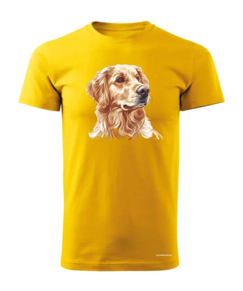 Golden retriever złoty