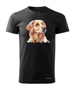 Golden retriever złoty