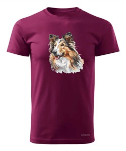 Owczarek szkocki collie