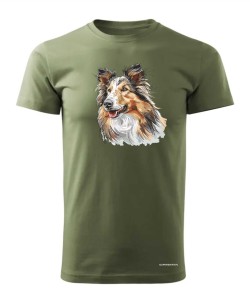 Owczarek szkocki collie