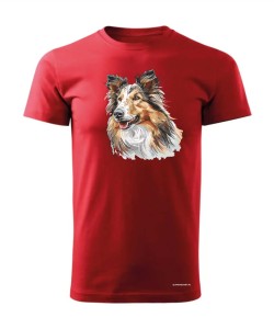 Owczarek szkocki collie