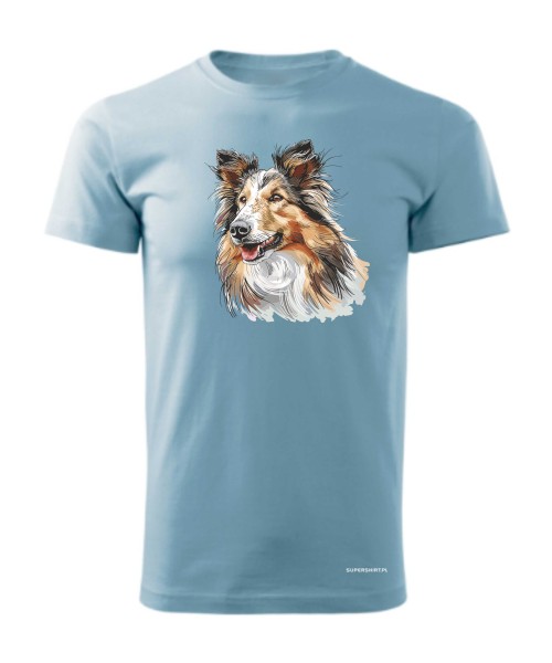 Owczarek szkocki collie
