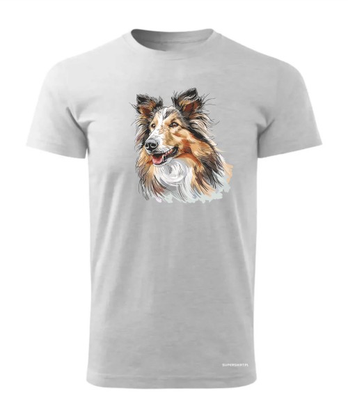 Owczarek szkocki collie