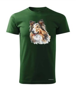 Owczarek szkocki collie
