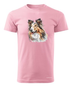 Owczarek szkocki collie