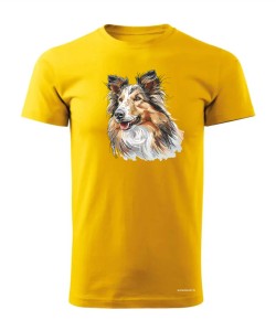 Owczarek szkocki collie