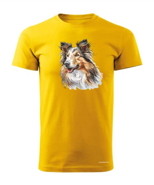 Owczarek szkocki collie