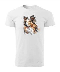 Owczarek szkocki collie