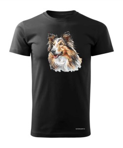 Owczarek szkocki collie