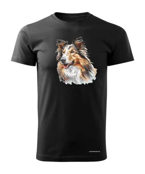 Owczarek szkocki collie