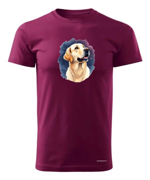 Golden retriever kosmos