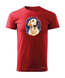 Golden retriever kosmos