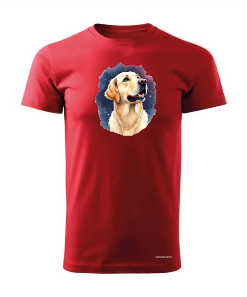 Golden retriever kosmos