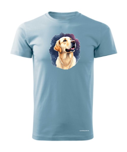 Golden retriever kosmos