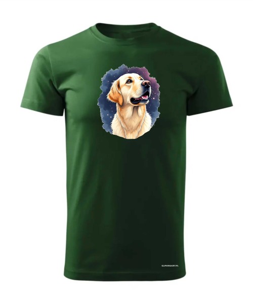 Golden retriever kosmos