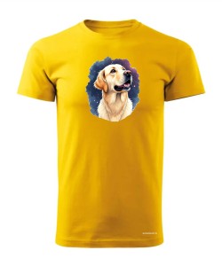 Golden retriever kosmos