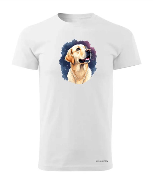 Golden retriever kosmos