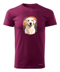 Golden retriever 1