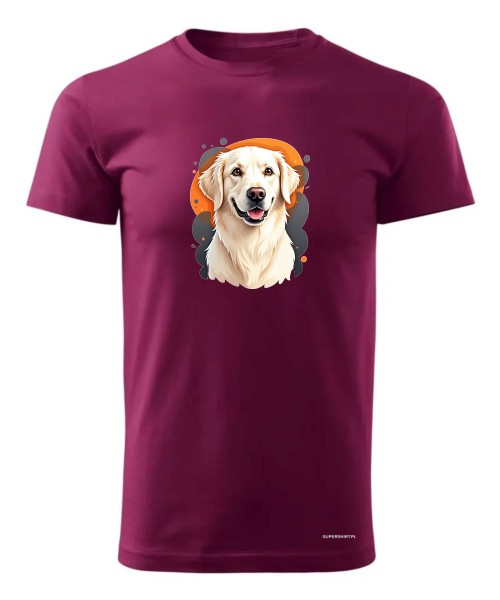 Golden retriever 1