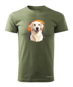 Golden retriever 1