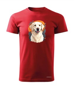 Golden retriever 1