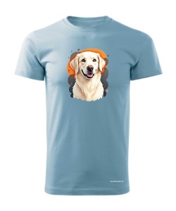 Golden retriever 1