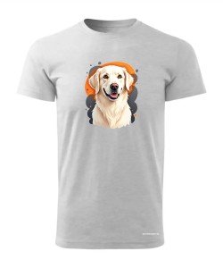 Golden retriever 1
