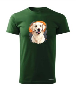 Golden retriever 1