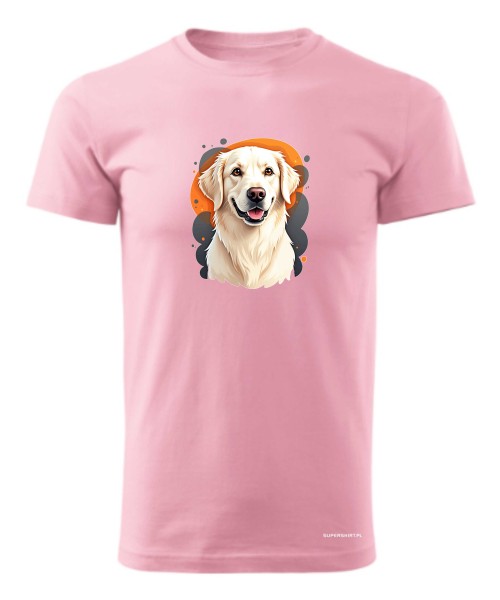Golden retriever 1