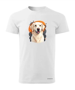 Golden retriever 1