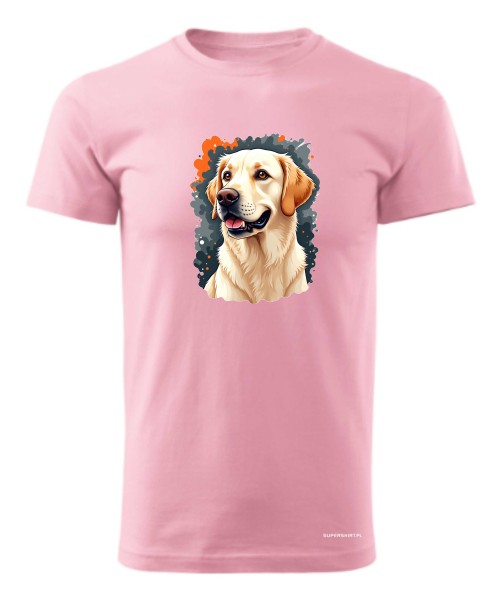 Golden Retriever 3
