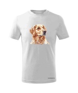 Golden retriever złoty