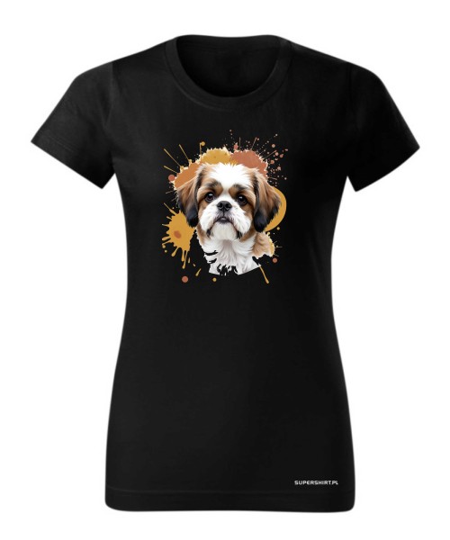 Shih Tzu