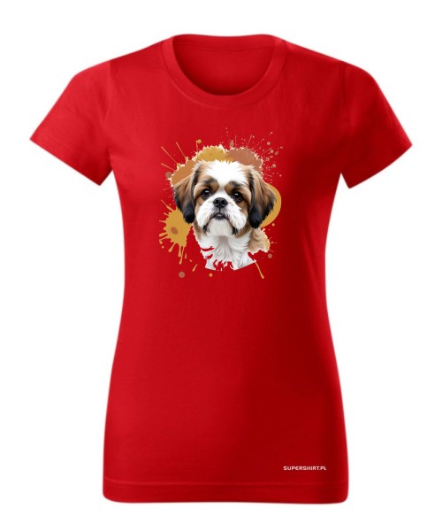 Shih Tzu